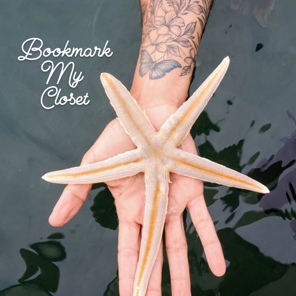 Hello - Picture 1 of 1